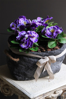 Anielska Wieś Volcan, fioletowe bratki w naczyniu