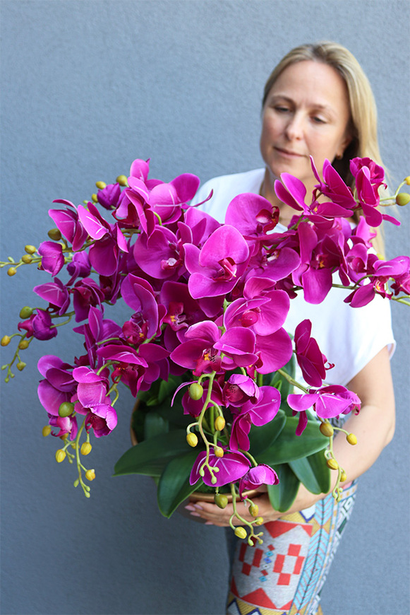 fuksjowy storczyk w złotej donicy, Hedrato Malaga, wys.53cm 