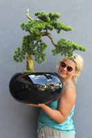 Bonsai Belezza, sztuczne drzewko w donicy fiberglass