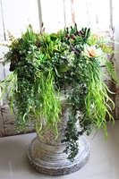 Anya Long Sukulenty, zielona kompozycja w srebrnej donicy, wym.30x58cm  