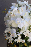 Deluxe Gold, sztuczny storczyk w złotej donicy, kpl.2szt