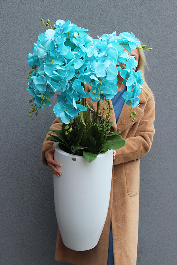 Turkusowy Fiberglass White, storczyk w białej donicy z fiberglass