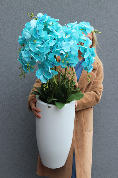 Turkusowy Fiberglass White, storczyk w białej donicy z fiberglass