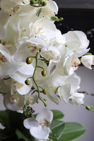 Silver Trettia, biały sztuczny storczyk w srebrnej donicy