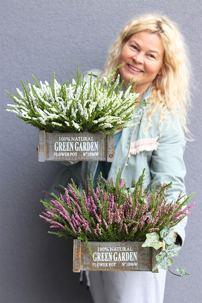 Wrzosowisko Green Garden, wrzosy w skrzynce, różowe