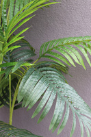 Areca Concrete, sztuczna palma w betonowej donicy