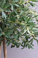 Drzewko Oliwne Hiltonka, sztuczna roślina w srebrnej donicy, wys.196cm