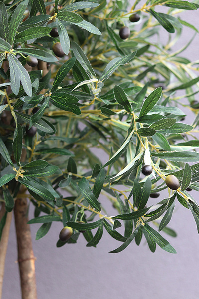 Drzewko Oliwne Hiltonka, sztuczna roślina w srebrnej donicy, wys.196cm