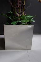 ekskluzywny storczyk w stalowej donicy, Koralovy Mirror Cube