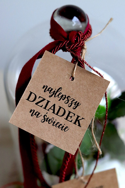 Teddy Red, kompozycja pod szklanym kloszem