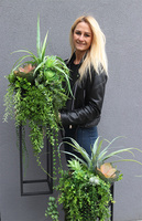 Cybilla Design Extra, kompozycja sukulenty w donicy na stojaku