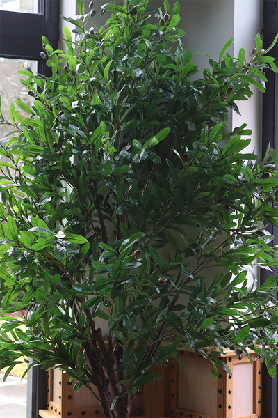 Drzewko Oliwne Lux, sztuczna roślina w doniczce