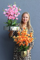 Orange Gold, sztuczny storczyk w doniczce