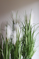 sztuczna trawa Pióropusze