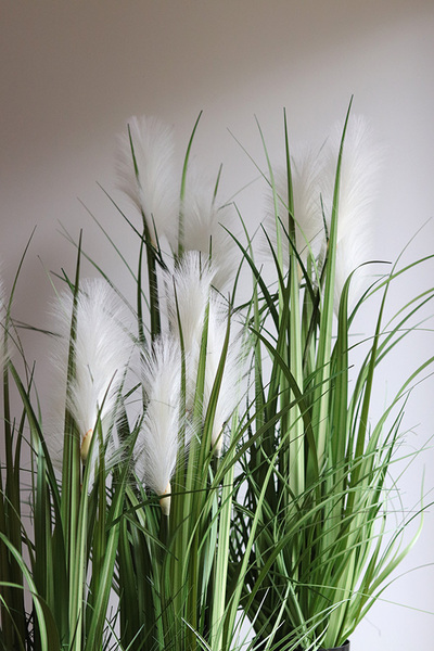 sztuczna trawa Pióropusze