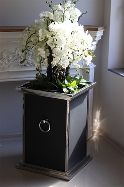 Monumento Royal, ekskluzywny storczyk podłogowy w metalowej donicy, wys.142cm 