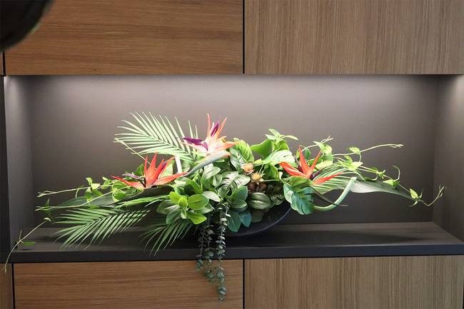 Strelicja Moko Jungle, dekoracja kwiatowa do wnęki