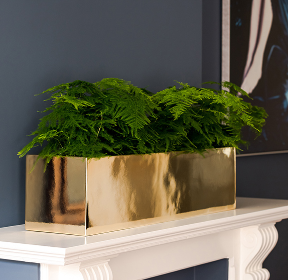 Goldie, atrakcyjna prostokątna osłonka / donica, kolor złoty, wym.50x20x20cm