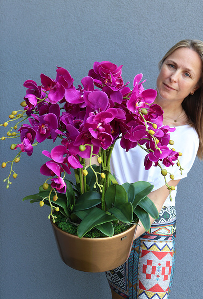 fuksjowy storczyk w złotej donicy, Hedrato Malaga, wys.53cm 