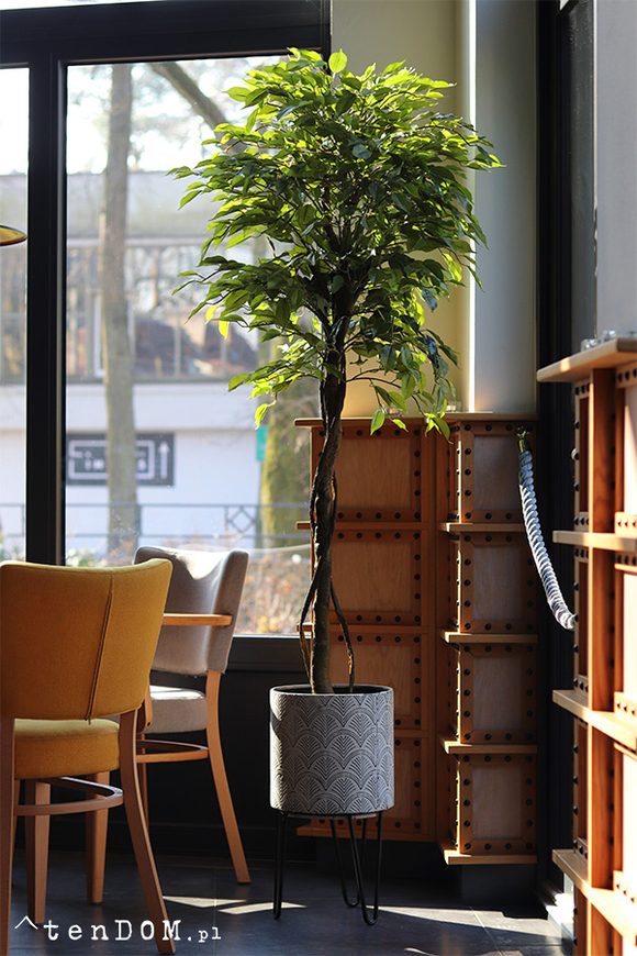 Fikus Benjamin B, sztuczna roślina w doniczce