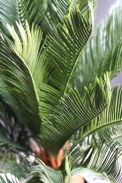 Cykas Gold Line, sztuczna roślina w złotej donicy