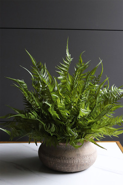 Tunila 2, paproć w ozdobnej donicy etno, wym.44x50cm 