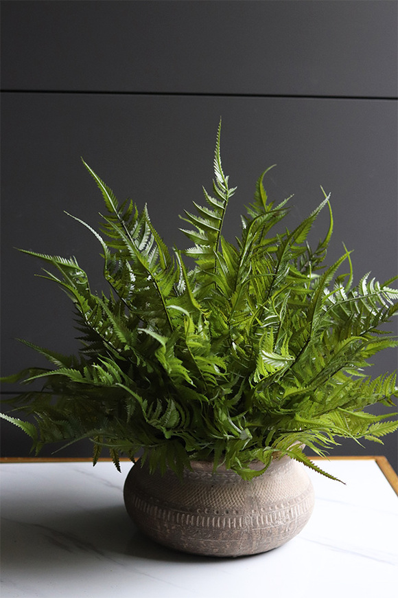 Tunila 2, paproć w ozdobnej donicy etno