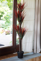 Dracena Ruda, wysokiej jakości sztuczna roślina