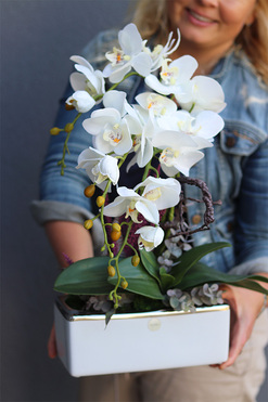 Banerra White Deluxe, sztuczny storczyk, wys.53cm  