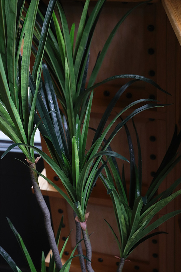 Dracena, wysokiej jakości sztuczna roślina