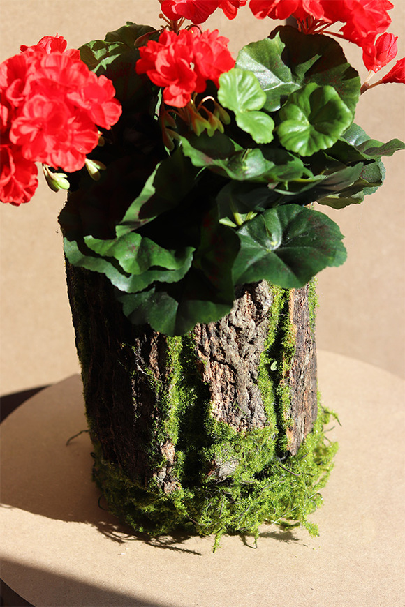 Red Wood, kompozycja kwiatowa pelargonie	