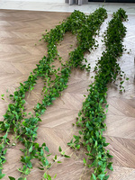 Barwinek, bardzo długa girlanda 5metrowa do dekoracji