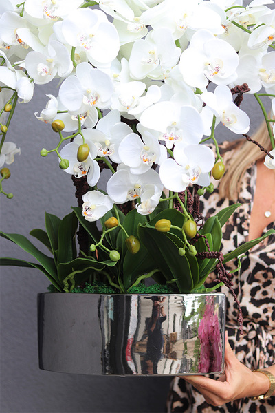 Manfredo Silver Big, efektowny sztuczny storczyk