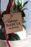 Teddy Red, kompozycja pod szklanym kloszem