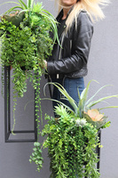 Cybilla Design Extra, kompozycja sukulenty w donicy na stojaku