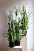 sztuczna trawa Pióropusze