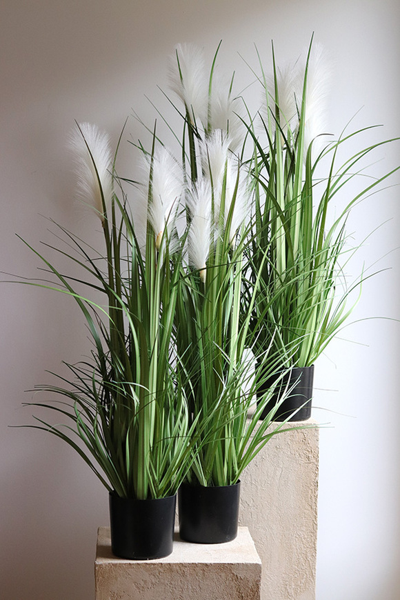 sztuczna trawa Pióropusze