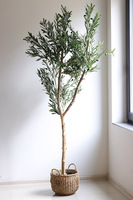 Oliwka Basket, sztuczne drzewko w koszu