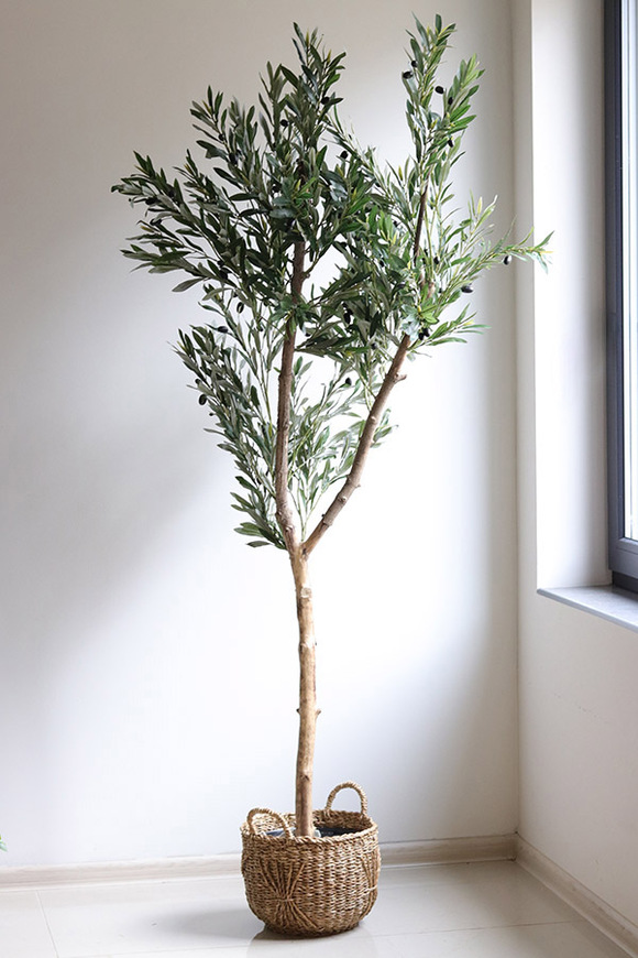 Oliwka Basket, sztuczne drzewko w koszu