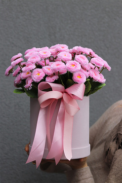 Stokrotki, flowerbox dekoracyjny, wys.32cm