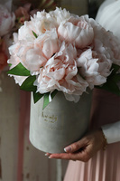 Morelia Easter, kompozycja w szarym pudełku