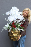 Zimowa Kraina Deluxe, elegancki storczyk zimowy