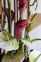 Kalia & Anturium, nowoczesna kompozycja w beżowej donicy