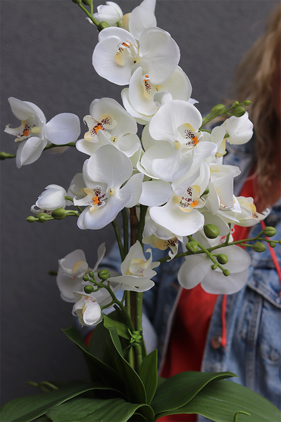 Nedila 2, sztuczny storczyk w zielonej osłonce