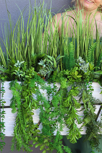 Agneso Greenoso, kompozycja we wkładzie do Twojej donicy