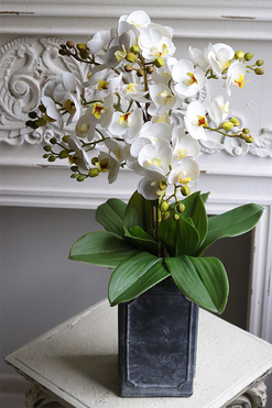 OD RĘKI Nemena, gumowy storczyk w donicy vintage, wys.60cm