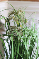 Yura Old, sztuczna trawa w miedzianej donicy