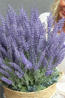 Lawendowe Pole, kompozycja z wrzośców w koszu