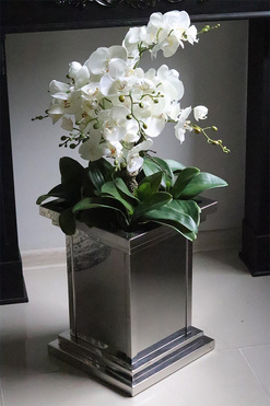 Excelsior Royal, ekskluzywny storczyk podłogowy w metalowej donicy, wys.87cm 