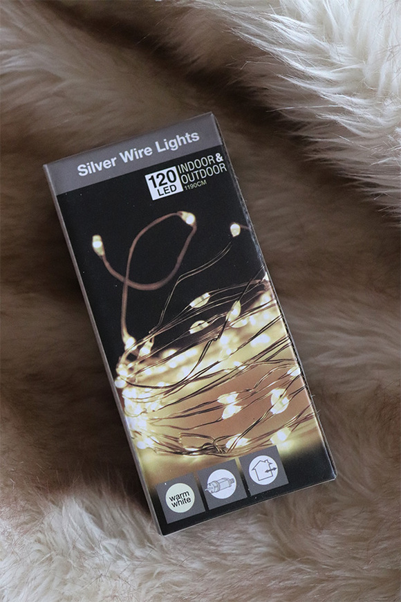 zewnętrzne lampki / światełka, Silver Wire